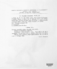 Image Associated With the Occurence